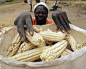 Нищета в мире